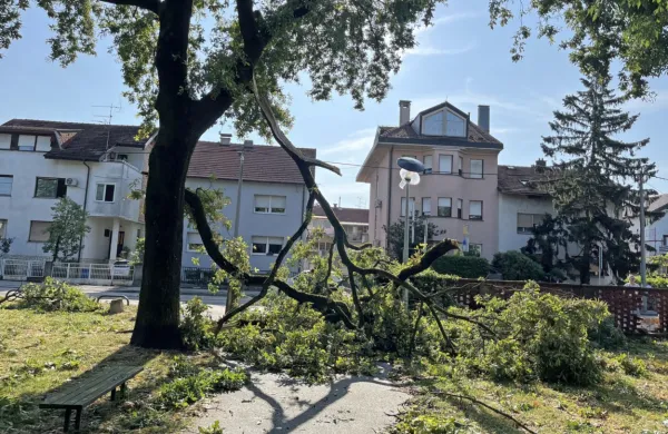Službe za nujno pomoč so do jutra v Zagrebu opravile 1507 
intervencij, v katerih je sodelovalo 3865 gasilcev s 1604 vozili.
