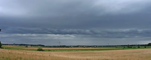Neurja so žal postala poletna stalnica.