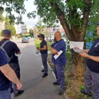(FOTO + VIDEO) Bomba na varnem, krave pa zadovoljne