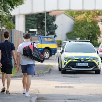 (FOTO + VIDEO) Bomba na varnem, krave pa zadovoljne