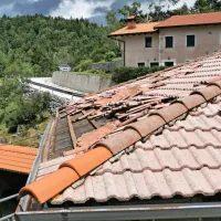 Lokovec