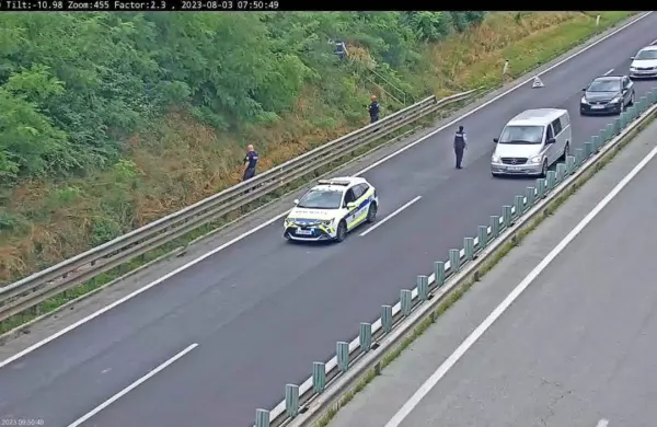 Policisti so pobegla psa iskali v travnatih brežinah proti Bertokom.