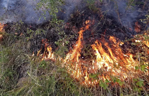 V Kanadi zaradi požarov odredili evakuacijo mesta na severu države