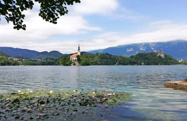 Bled