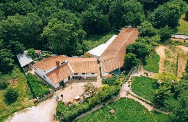 Obalno zaveti&scaron;če za zapu&scaron;čene živali na leto oskrbi več kot 1000 živali