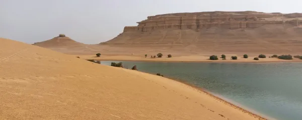 (REPORTAŽA) Oaza Al Fajum iz Coelhovega Alkimista ni fatamorgana