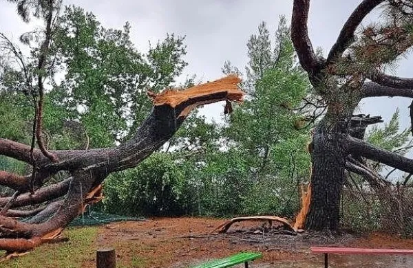 Polomljena drevesa razdejala zdravili&scaron;če na Debelem rtiču (FOTO)