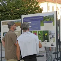 Razstava Semena za življenje v Postojni: Prikaz raznolikosti in pomena slovenskih travnikov