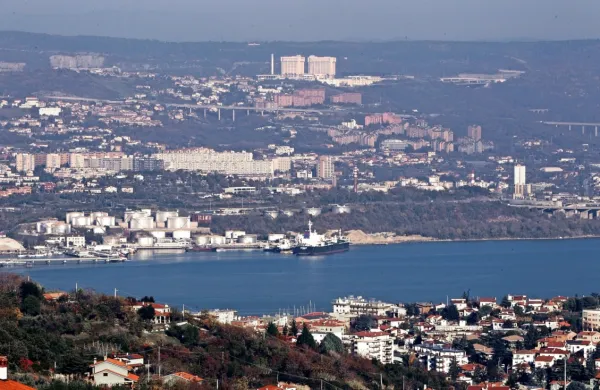 Žavlje