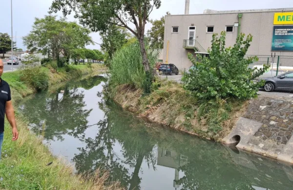 Hakim El Khiar ocenjuje, da se je v starem pritoku Badaševice že 
začel proces gnitja - opaziti je temnejšo obarvanost vode, ob strugi 
pa se širijo neprijetne vonjave.