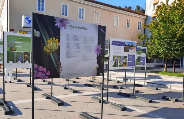 Razstavo si bo na Titovem trgu v Postojni mogoče ogledati vse do 
začetka oktobra. 