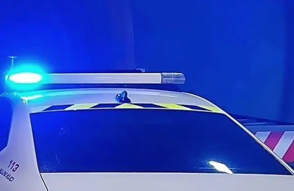 Z avtom zapeljal v jarek