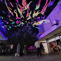 Svetlobna pot za uvod v festival R.o.R (FOTO, VIDEO)