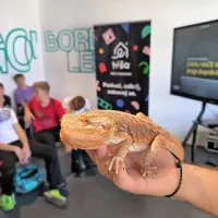 Znanost za radovedne s pajkom Rozi, udavom Araxom in ameri&scaron;kim gožem Bojanom (FOTO)