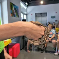 Znanost za radovedne s pajkom Rozi, udavom Araxom in ameri&scaron;kim gožem Bojanom (FOTO)