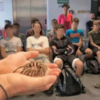 Znanost za radovedne s pajkom Rozi, udavom Araxom in ameri&scaron;kim gožem Bojanom (FOTO)