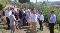 Začenja se oljkarska sezona, &ldquo;svojo&rdquo; oljko obirali tudi župani (FOTO)
