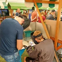 Dan ajdovske industrije in podjetni&scaron;tva letos obarvan zeleno, trajnostno in digitalno (FOTO)