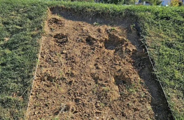 Lucija: objestnež iz gredice v parku Sonce odstranil okrasno travo
