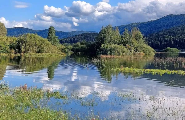 Cerkniško jezero
