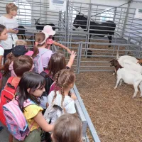 Poku&scaron;ine domačih dobrot tudi letos krojile Dneve kmetijstva (FOTO)