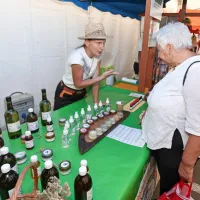Poku&scaron;ine domačih dobrot tudi letos krojile Dneve kmetijstva (FOTO)