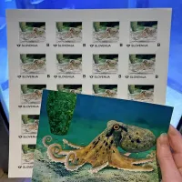 Za morskim konjičkom na znamki mo&scaron;katna hobotnica