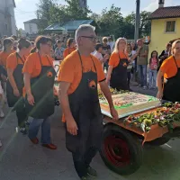 Kostanja je bilo letos nekoliko manj, a je &scaron;el za med (FOTO)