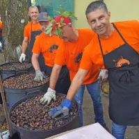 Kostanja je bilo letos nekoliko manj, a je &scaron;el za med (FOTO)