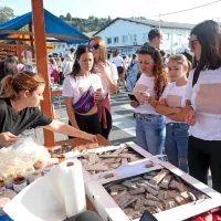 (FOTO) Dobrodelni tek od Izole do Kopra in nazaj