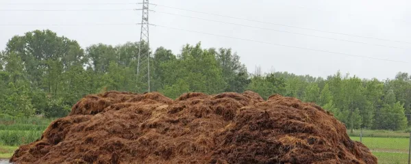 Hlevski gnoj je danes večinoma goveji, včasih je bil to mešani gnoj.  