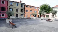 Na trg za picerijo Atrij so začasno namestili velika korita z oljkami 
in nekaj klopi.