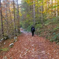 Kljub visokim temperaturam je jesen tu s svojo značilno podobo.