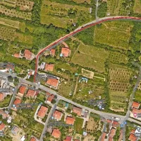 Premančan
