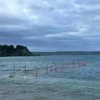 &ldquo;Ni se &scaron;e zgodilo, da bi ob tak&scaron;ni poplavi Tartinijev trg ostal suh&rdquo; (FOTO+VIDEO)