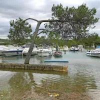 &ldquo;Ni se &scaron;e zgodilo, da bi ob tak&scaron;ni poplavi Tartinijev trg ostal suh&rdquo; (FOTO+VIDEO)