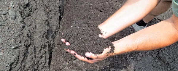 Po videzu ne moremo presoditi, kakšna je zemlja. 