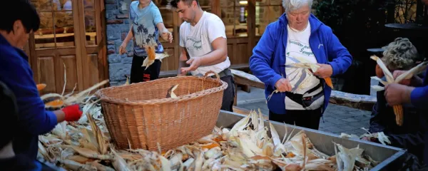 Člani TD Šempas so se letos spet zbrali na kmetiji Pri Rjavčevih in 
“žurili sirk”, kot pravijo po domače, saj želijo ohranjati tradicijo. 