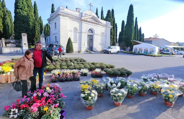 Prvega novembra brezplačni medkrajevni avtobusni prevoz