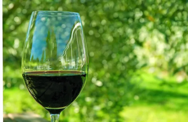 Čas za poku&scaron;ino mladega vina