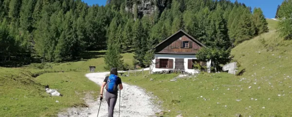 Hoja nas nič ne stane.