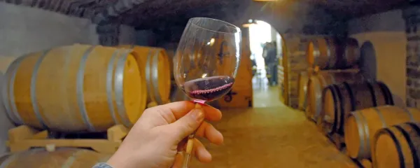 Vina iz letošnjega letnika so nastala pod vtisom mokrega poletja in 
marsikje tudi številnih vremenskih ujm.