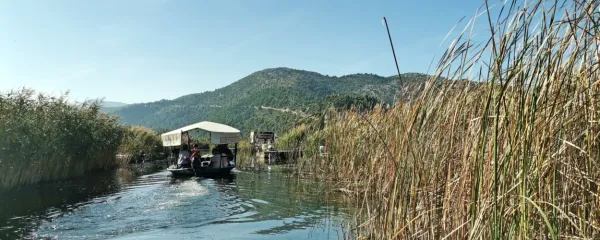 Vožnja po labirintu vodnih poti, nato pa še postanek v sadovnjaku 
in ročno pobiranje mandarin je že skoraj tri desetletja uspešen 
turistični produkt, ki privablja skupine iz cele Evrope, največ iz 
Slovenije.