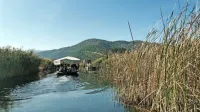 Vožnja po labirintu vodnih poti, nato pa še postanek v sadovnjaku 
in ročno pobiranje mandarin je že skoraj tri desetletja uspešen 
turistični produkt, ki privablja skupine iz cele Evrope, največ iz 
Slovenije.