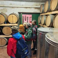 Martinovanje na Brjah: najprej v vinske kleti, nato &scaron;e v &scaron;otor (FOTO)