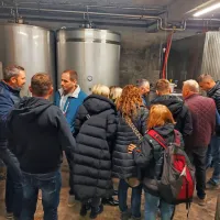 Martinovanje na Brjah: najprej v vinske kleti, nato &scaron;e v &scaron;otor (FOTO)