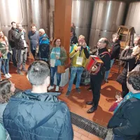 Martinovanje na Brjah: najprej v vinske kleti, nato &scaron;e v &scaron;otor (FOTO)