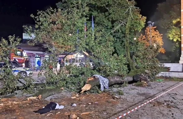 Med martinovanjem  na Trgu Ivana Roba je drevo  hudo poškodovalo 73-letno žensko. V bolnišnici je umrla.