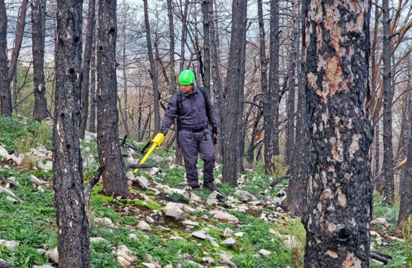 Pirotehniki državne enote so v minulih dneh iskali granate in bombe nad Vrtočami in v okolici Cerja. 