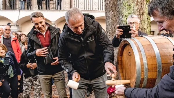 Martinovanje na Krasu privabilo rekordno &scaron;tevilo obiskovalcev (FOTO)